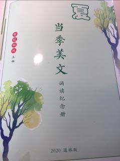 我学写字✍️