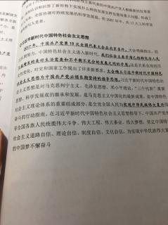 高中历史 中国近现代史 小专题1 新时期的理论探索