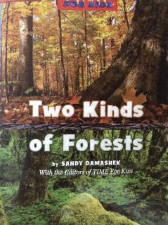 G2 Science LR Book92  - Two Kinds of Forests