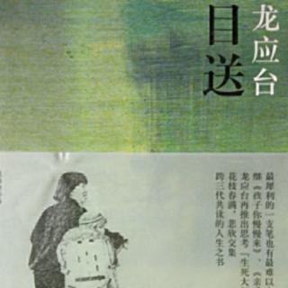 10、龙应台‖《目送》第一章：有些路啊，只能一个人走(9)明白