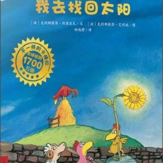 《我去找回太阳》