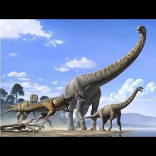 探秘侏罗纪-体型庞大的川街龙