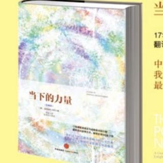 当下的力量6.2：超越字面的含义