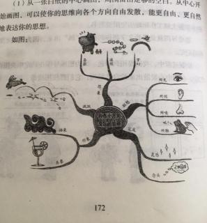 最强大脑🧠篇三 第一章 03 怎样绘制思维导图