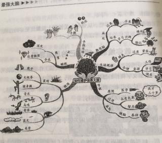 最强大脑🧠篇三 第一章 04 教你绘制一幅自己的思维导图