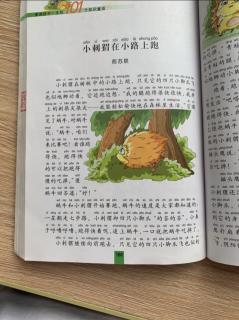 《小刺猬走在路上跑》