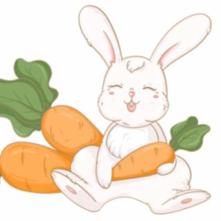 【GYMBABY】小白兔的萝卜房子