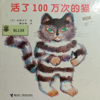 活了一百万次的猫