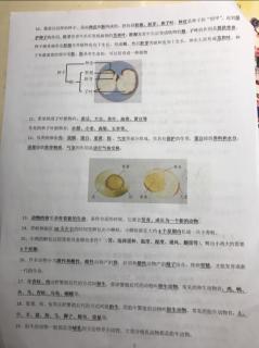 20200620-科学四下第二单元《新的生命》知识清单第二部分