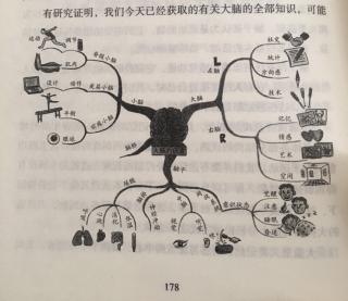 最强大脑🧠 篇三 第一章 05 认识你的大脑从认识大脑潜力开始