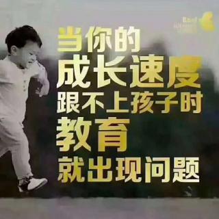 教育是什么