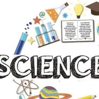 加拿大的学生科技创新展Science Fair