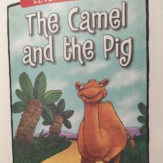 The camel and the pig