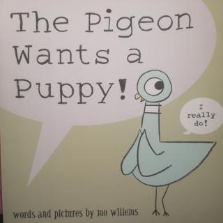 The Pigeon Wants a Puppy