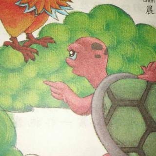 小故事——松鸡和乌龟的故事