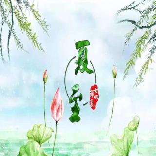 夏至 张新奇/诵：苡子