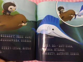 海底小纵队与港海豹