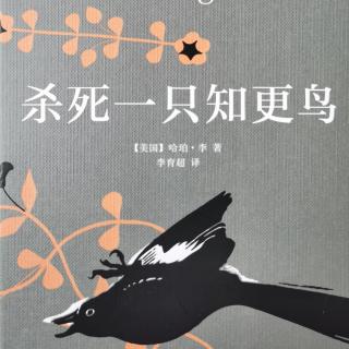 《杀死一只知更鸟》第二十一章