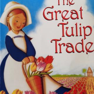 Tulip-