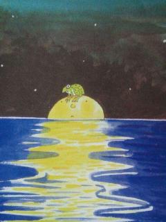 金鼎实验幼儿园睡前故事798—《青蛙跳到月亮上》