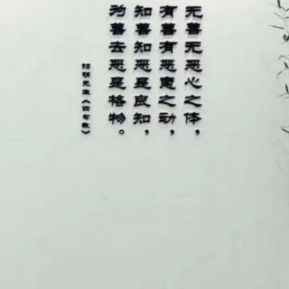 钱德洪录/2020.6.22/张果