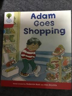 Adam goes shopping