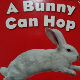 A BUNNY CAN HOP