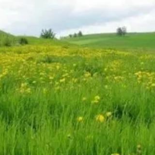 《梅雨时节》郑稼民