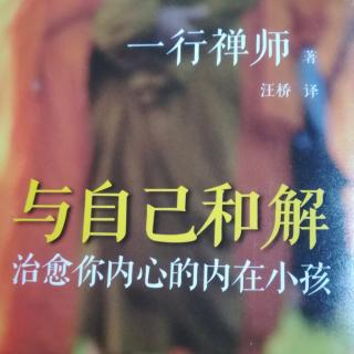 【与自己和解】（15～了悟痛苦，觉知痛苦）一行禅师