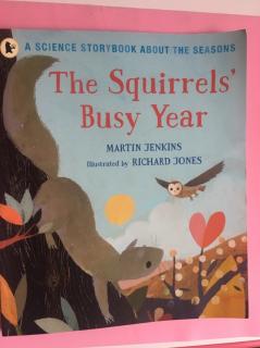 the squirrels’busy year