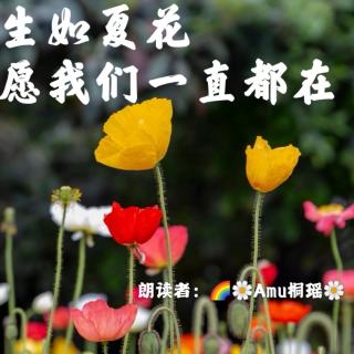 来稿 | 生如夏花，愿我们一直都在 - 🌈🌼Amu桐瑶🌼（来自FM89002647）