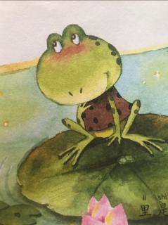小青蛙🐸捉星星