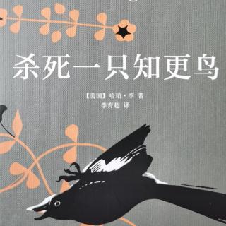 《杀死一只知更鸟》第二十三章