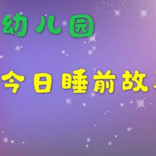 小熊🐻不哭第18个睡前故事