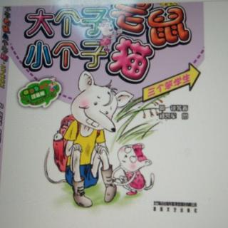 大个子🐭，小个子猫~《包粽子》