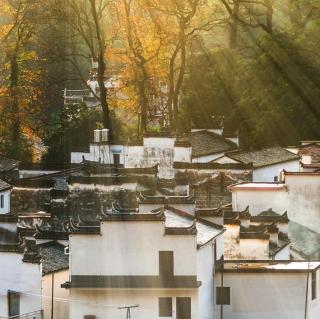 《大林寺桃花》