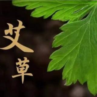 艾草的味道 (作者：零海岸)