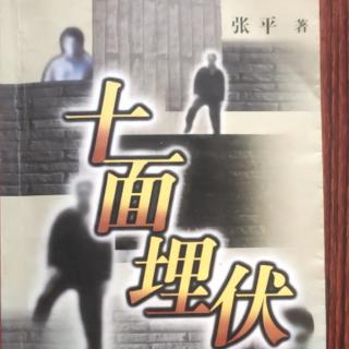 十面埋伏（10）