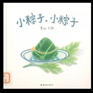 市直幼儿园大一班刘锡垚《小粽子，小粽子》