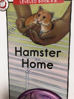 RAZA打卡92 Hamster Home