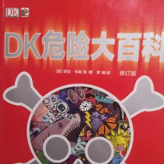 dk危险大百科，战争武器