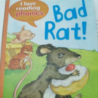 Bad Rat！
