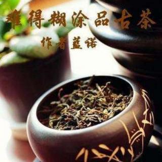 难得糊涂品古茶    (作者：蓝诺)