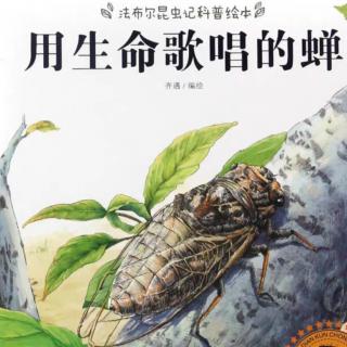 小乐老师讲故事《法布尔昆虫记—用生命唱歌的蝉之蝉的地穴》