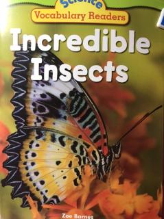 Science Vocabulary Readers - Incredible Insects