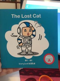 The Lost Cat