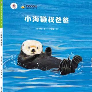 小海獭找爸爸