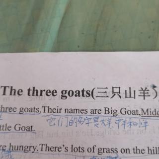 绘本：三只山羊