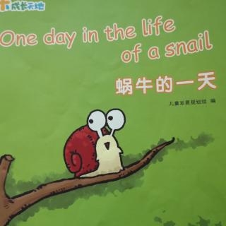 第117本绘本故事《蜗牛的一天》