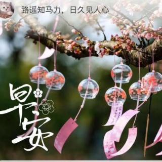 紫轩堂晨读第第1228期～主播杏子《故事很短，却影响了上亿人！》